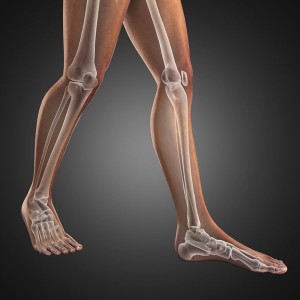 pronation-walking-leg-skeleton